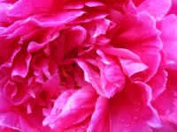Userbild von alenaart
